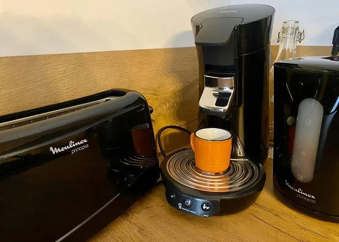 Mendi Centre Lägenhet Cauterets